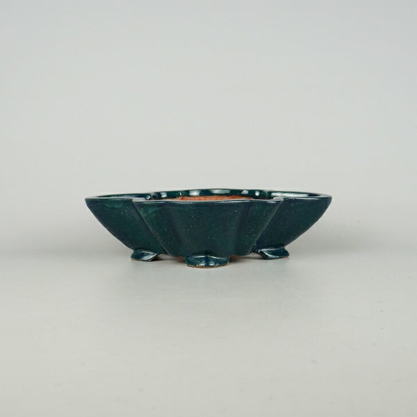 盆栽鉢 憲 乃 辻憲昌 中型 長辺 約23cm 木瓜鉢 釉薬  新品 s1198413422