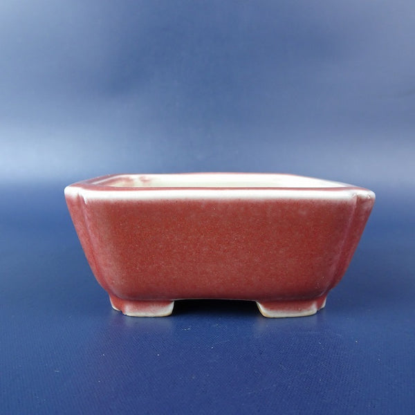 盆栽鉢 常滑 柴勝 小鉢 長辺 約 7.2cm 長方鉢 隅入 釉薬  新品 l1198413411