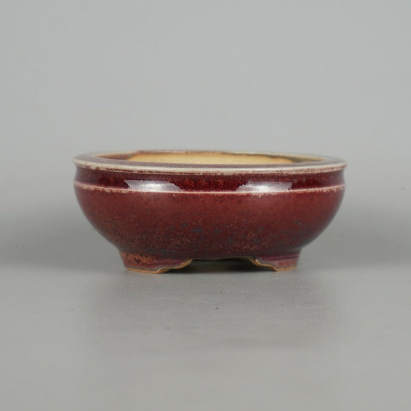 盆栽鉢 燿山窯 英明 小型 長辺 約 10cm 丸鉢 釉薬  新品 s1198414522