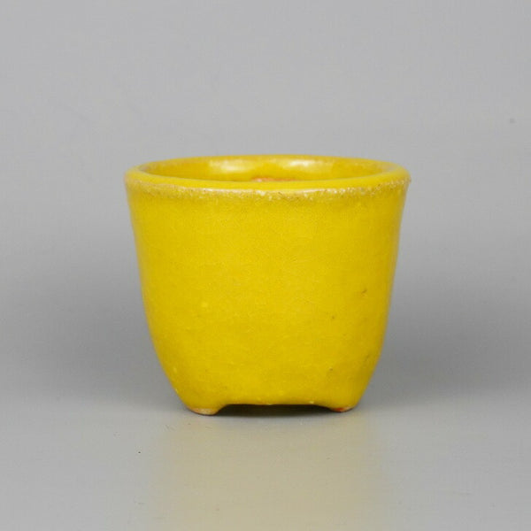 盆栽鉢 友 小鉢 長辺 約8.8cm 丸鉢 黄釉 釉薬  新品 j1198411942