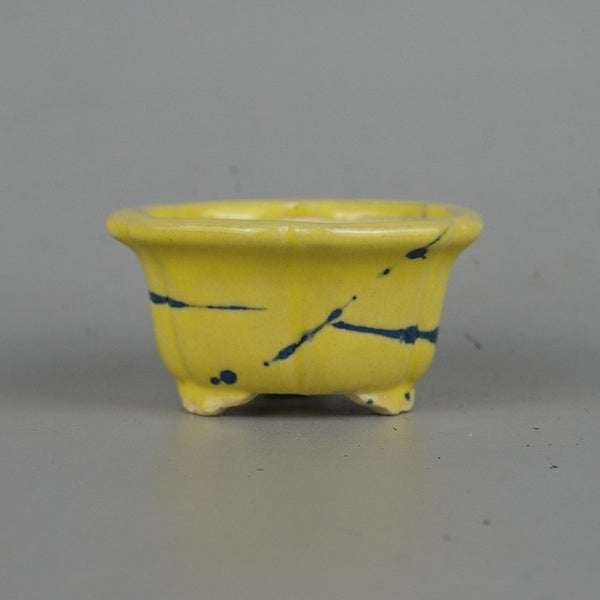 盆栽鉢 常滑 柴勝 小鉢 長辺 約 6.5cm 輪花鉢 模様 黄釉 釉薬  新品 o1198429307