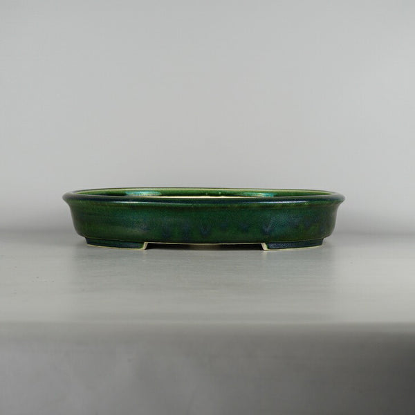 盆栽鉢 真山造 寺畑陶園 中型 長辺 約39.8cm 楕円鉢 縁付 釉薬  新品 p1198419263