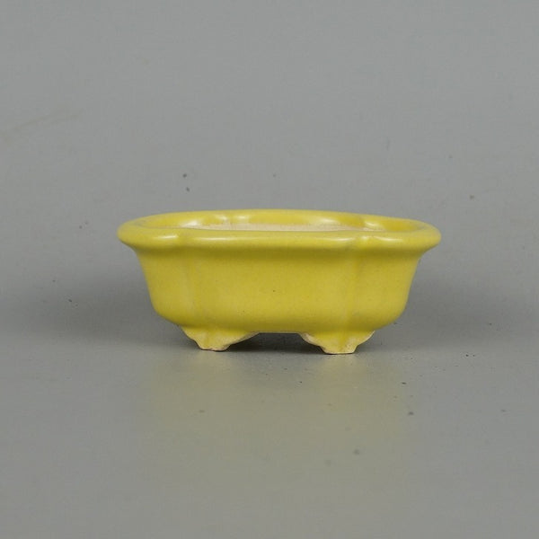 盆栽鉢 常滑 柴勝 小鉢 長辺 約8cm 木瓜鉢 黄釉 釉薬  新品 d1198420945