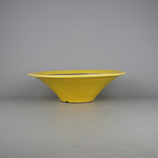 盆栽鉢 真山 寺畑陶園 中型 長辺 約30.3cm 丸鉢 黄釉 釉薬  新品 j1198411343