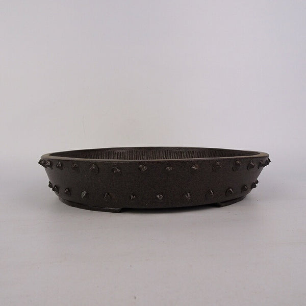 盆栽鉢 光 中型 長辺 約22cm 丸鉢 鋲打 切足 泥物  新品 s1198417256