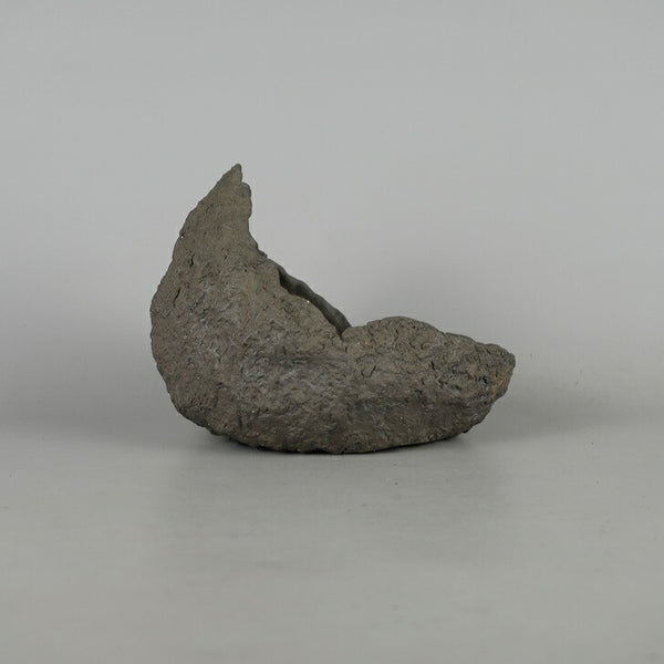 盆栽鉢 光 小型 長辺 約 17cm クラマ風鉢 泥物  新品 s1198414916