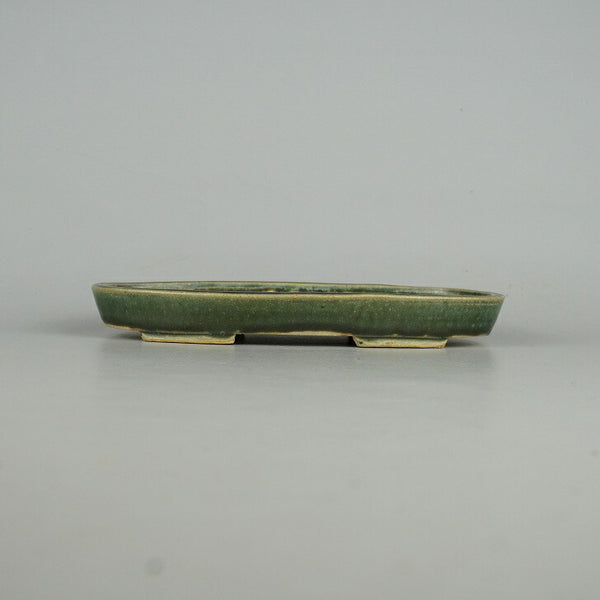 盆栽鉢 常滑 柴勝 小型 長辺 約20cm 楕円鉢 釉薬  新品 t1198406692