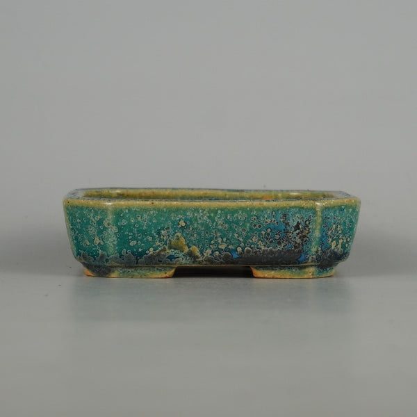 盆栽鉢 常滑 樹晃 鴻陽陶園 小型 長辺 約 10.2cm 長方鉢 隅切 釉薬  新品 p1198415046