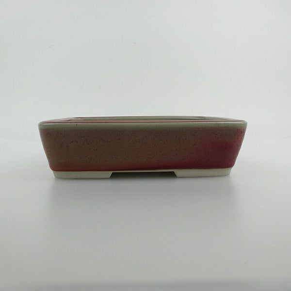 盆栽鉢 青香 小型 長辺 約14.5cm 長方鉢 釉薬 q1198412631