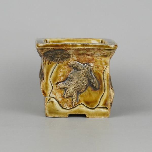 盆栽鉢 卓道 小鉢 長辺 約6.5cm 正方鉢 浮彫 亀 観賞用  新品 c1198412654
