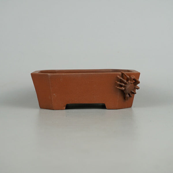 盆栽鉢 常滑 柴勝 小型 長辺 約 14.3cm 長方鉢 隅切 蟹付 カニ 泥物 観賞用  新品 j1198410841