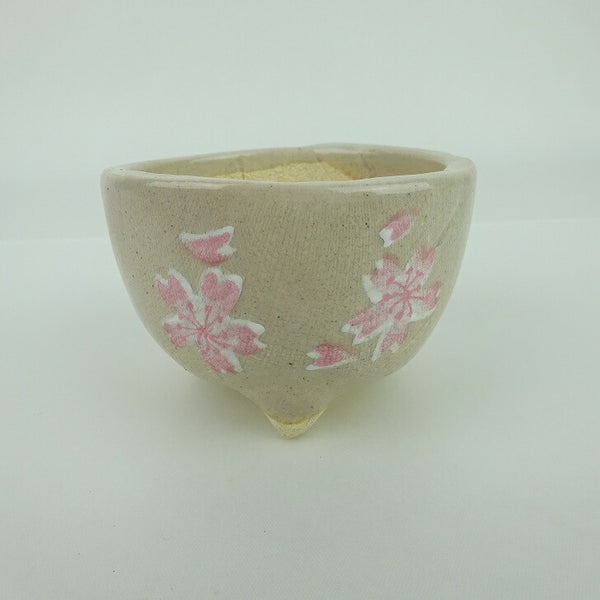 盆栽鉢 ゆうき祥石 小鉢 長辺 約7cm 丸鉢 プリント 絵鉢 桜 サクラ さくら 釉薬 観賞用  新品 b1198419920