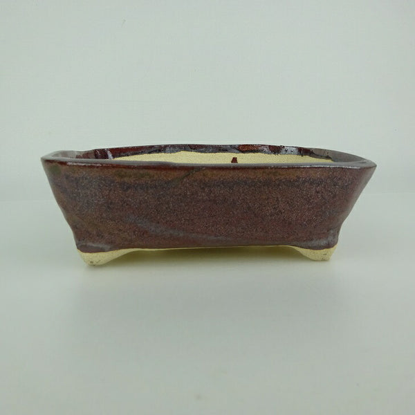 盆栽鉢 ゆうき祥石 小型 長辺 約 16.8cm 長方鉢 釉薬 観賞用  新品 v1198437619