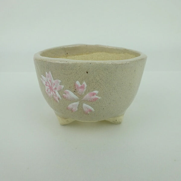盆栽鉢 ゆうき祥石 小鉢 長辺 約7.2cm 丸鉢 プリント 絵鉢 桜 サクラ さくら 釉薬 観賞用  新品 v1198435274