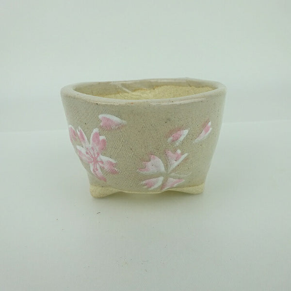 盆栽鉢 ゆうき祥石 小鉢 長辺 約 7cm 丸鉢 プリント 絵鉢 桜 サクラ さくら 釉薬 観賞用  新品 w1198412863