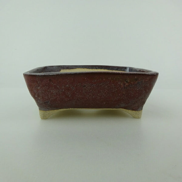 盆栽鉢 ゆうき祥石 小型 長辺 約 11cm 長方鉢 釉薬 観賞用  新品 g1198419773