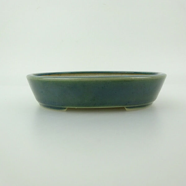 盆栽鉢 青香 小型 長辺 約11.8cm 楕円鉢 釉薬 v1198435388