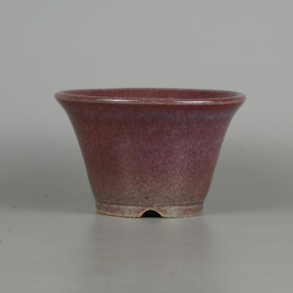 盆栽鉢 常滑 晃 樹晃 小鉢 長辺 約9.5cm 丸鉢 釉薬  新品 n1198412564