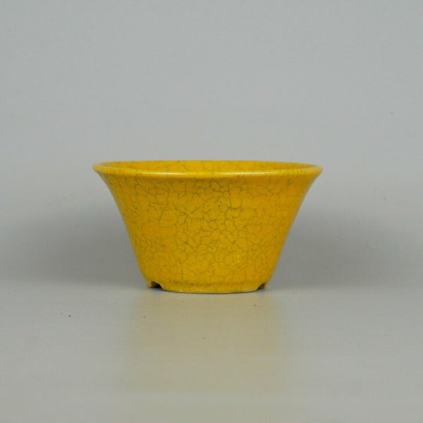 盆栽鉢 常滑 晃 小型 長辺 約11cm 丸鉢 釉薬  新品 v1198443352