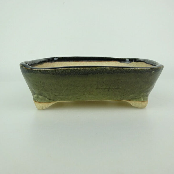 盆栽鉢 ゆうき祥石 小型 長辺 約 16.3cm 長方鉢 釉薬 観賞用  新品 t1198409622