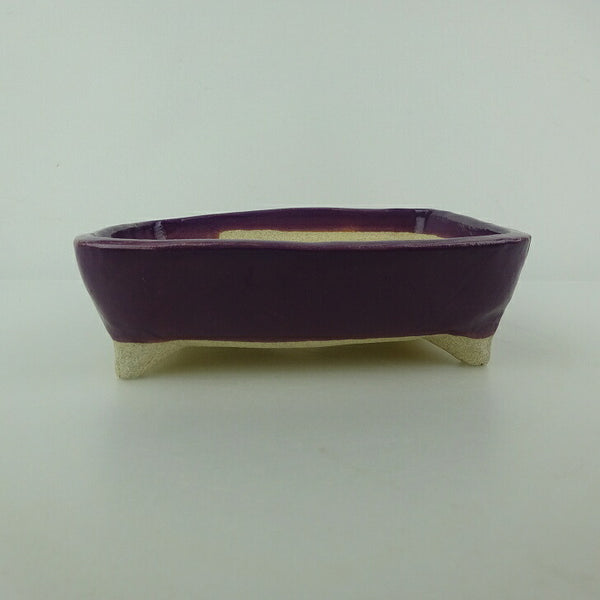 盆栽鉢 ゆうき祥石 小型 長辺 約 13.5cm 長方鉢 釉薬 観賞用  新品 q1198418851