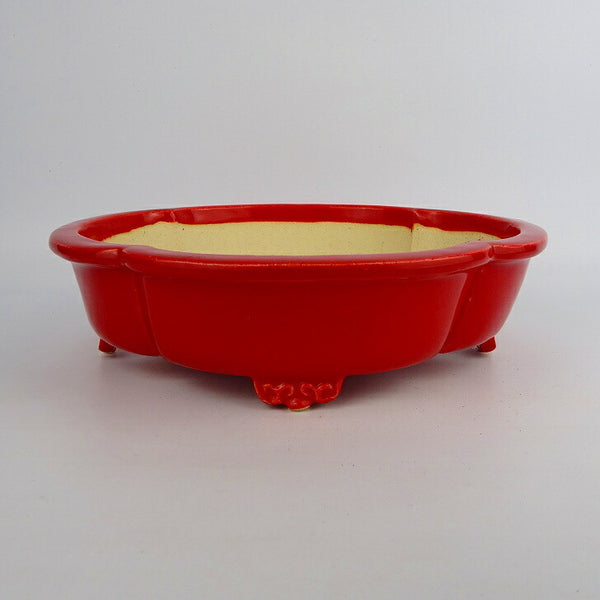 盆栽鉢 風香 風香窯 中型 長辺 約21.5cm 木瓜鉢 外縁 雲足 赤釉 釉薬  新品 f1198409681