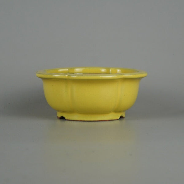 盆栽鉢 常滑 壹興 渡辺 一弘 小型 長辺 約 13cm 輪花鉢 外縁 釉薬  新品 o1198425477