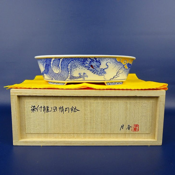 盆栽鉢 月香 小型 長辺 約16.5cm 楕円鉢 染付 龍図 竜 リュウ 共箱 共布 観賞用  新品 p1198417328