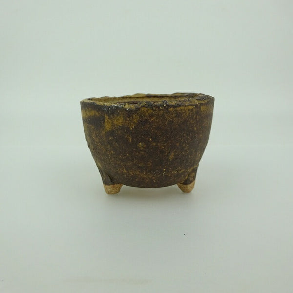 盆栽鉢 信楽焼 小鉢 長辺 約7.5cm 丸鉢 信楽 楽風 鉢 釉薬 観賞用  新品 t1198409324