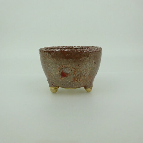 盆栽鉢 信楽焼 小鉢 長辺 約7.6cm 丸鉢 信楽 楽風 鉢 釉薬 観賞用  新品 k1198409326