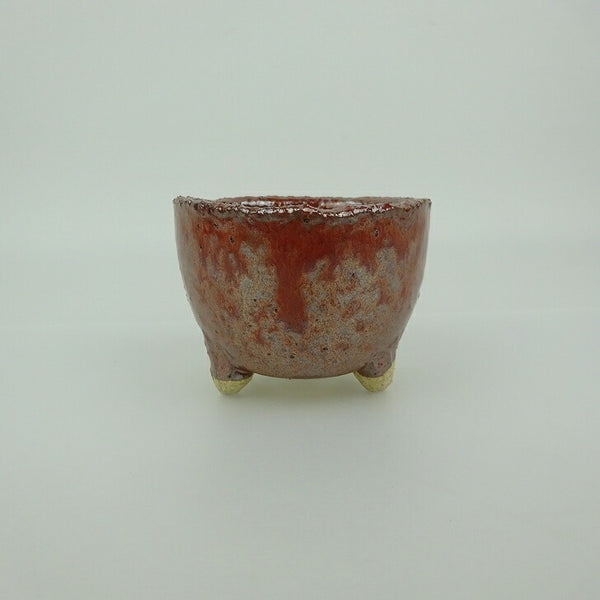 盆栽鉢 信楽焼 小鉢 長辺 約7.6cm 丸鉢 信楽 楽風 鉢 釉薬 観賞用  新品 h1198427260