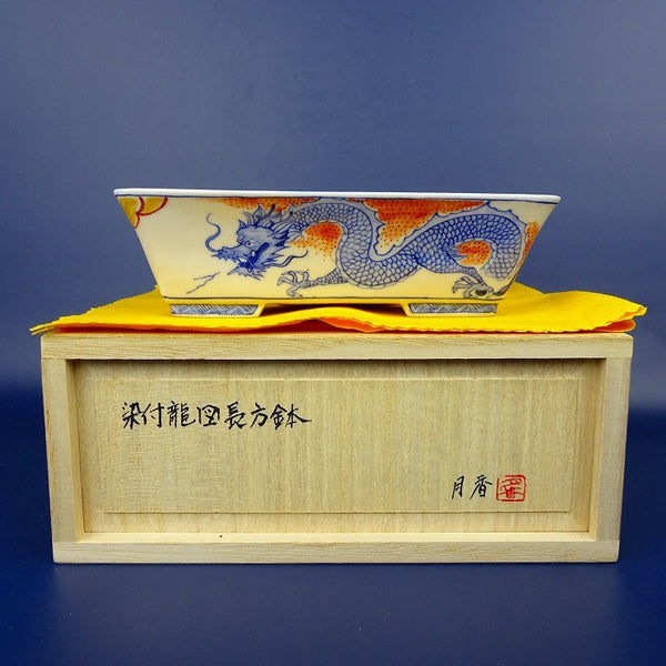盆栽鉢 月香 小型 長辺 約15.8cm 長方鉢 染付 龍図 リュウ 共箱 共布 観賞用  新品 d1198418744