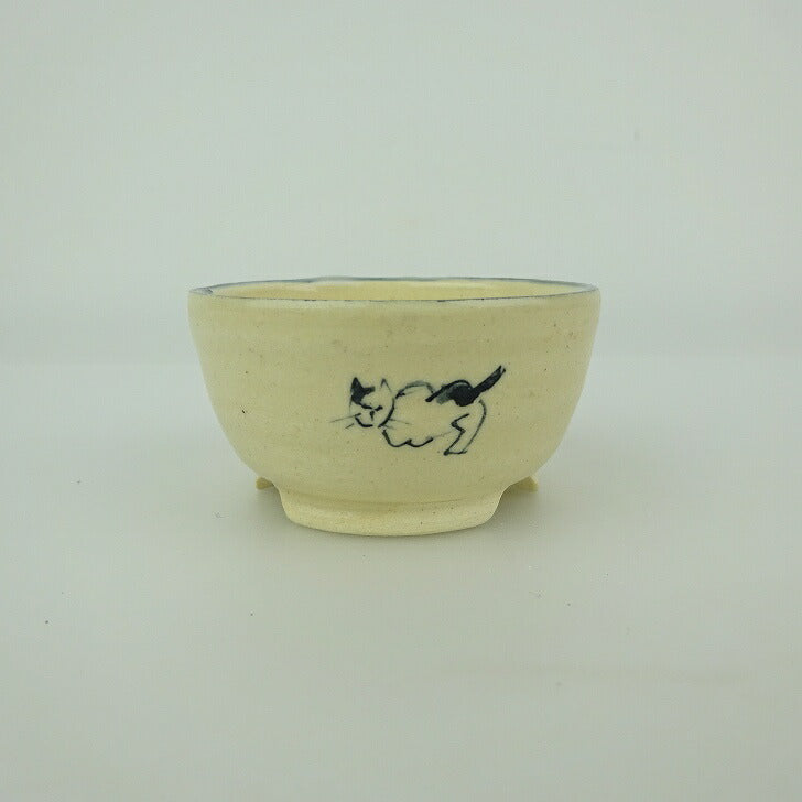 Best Selling Products - 森流 GreenFlow - 動植物造景專門店 – 頁141