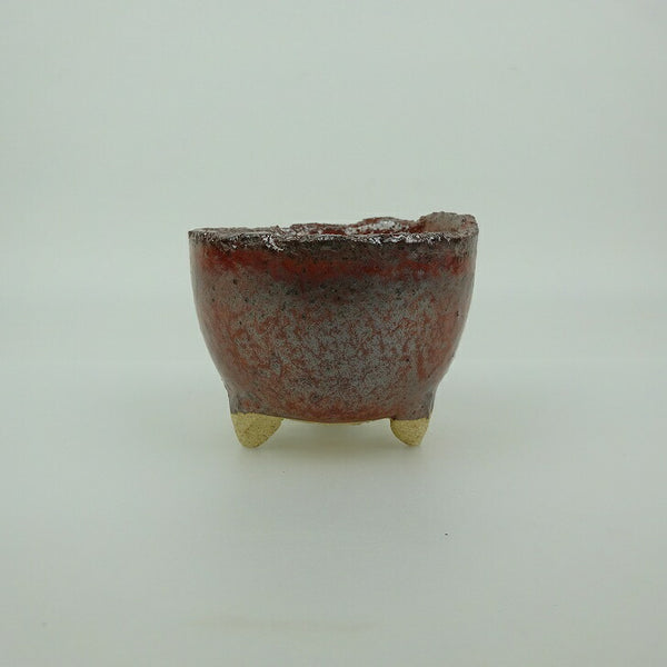 盆栽鉢 信楽焼 小鉢 長辺 約7.6cm 丸鉢 信楽 楽風 鉢 釉薬 観賞用  新品 k1198412511