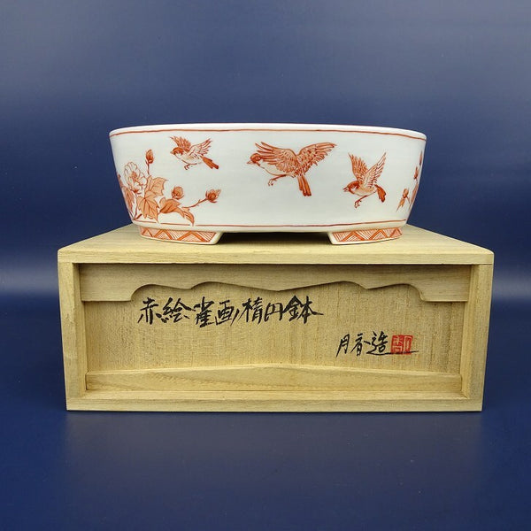 盆栽鉢 月香 小型 長辺 約17.4cm 楕円鉢 赤絵 雀画 鳥 花 共箱 共布  新品 u1198431057