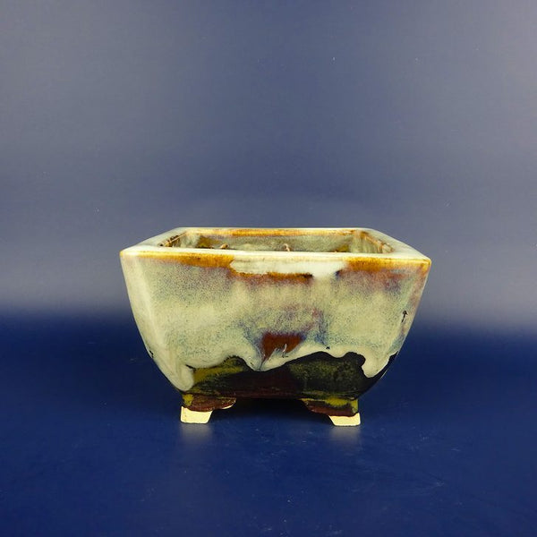 盆栽鉢 桂雲 福田桂雲 小型 長辺 約 12cm 正方鉢 釉薬  新品 s1198415069