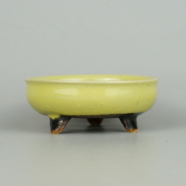 盆栽鉢 虹 平安虹泉 小鉢 長辺 約10cm 丸鉢 黄釉 釉薬  新品 1198404879