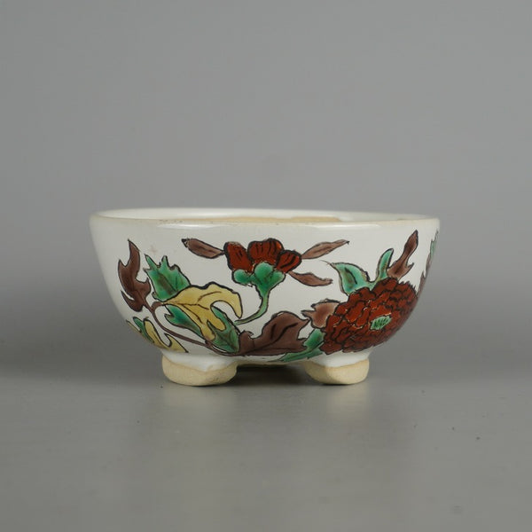 盆栽鉢 蝉山 小型 長辺 約 12.5cm 丸鉢 色絵 花 はな ハナ 植物 観賞用  新品 w1198410324