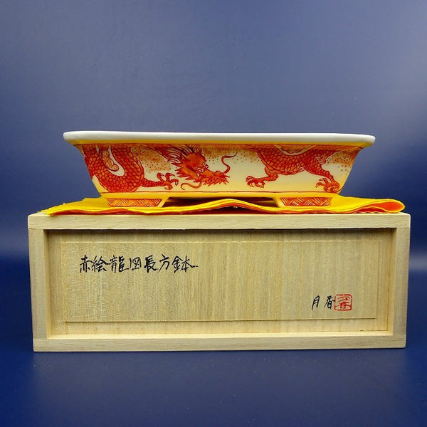 盆栽鉢 月香 小型 長辺 約17.4cm 長方鉢 外縁 赤絵 龍 共布 共箱  新品 f1198412662