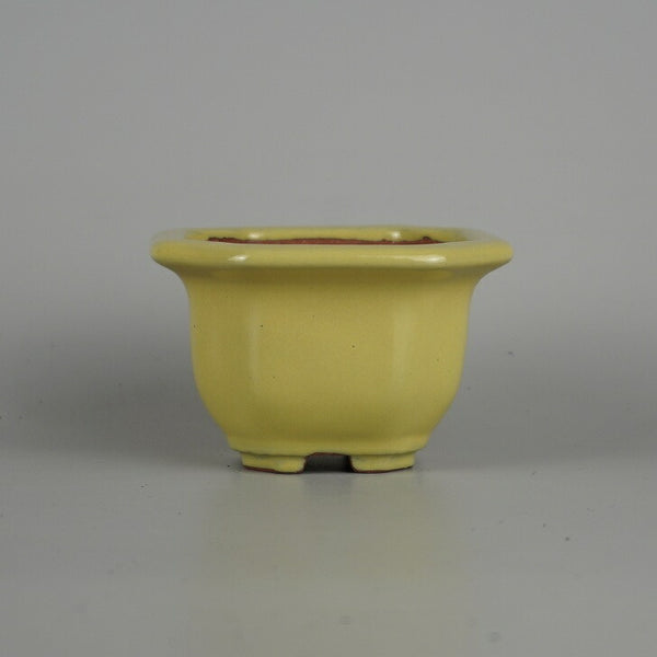 盆栽鉢 常滑 壱興造記 渡辺 一弘 小型 長辺 約 10.5cm 正方鉢 隅切 釉薬  新品 r1198405977