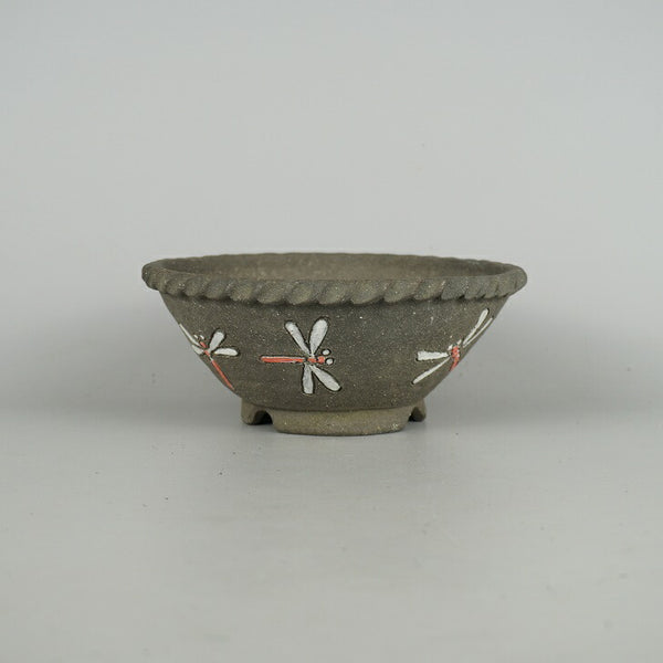 盆栽鉢 文山 越前文山 小型 長辺 約 16.5cm 鯖江園芸 丸鉢 色絵 蜻蛉 とんぼ トンボ 観賞用  新品 e1198407698