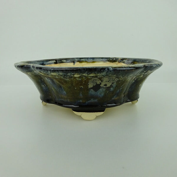 盆栽鉢 桂雲 福田桂雲 小型 長辺 約18cm 木瓜鉢 外縁 釉薬  新品 x1198415314