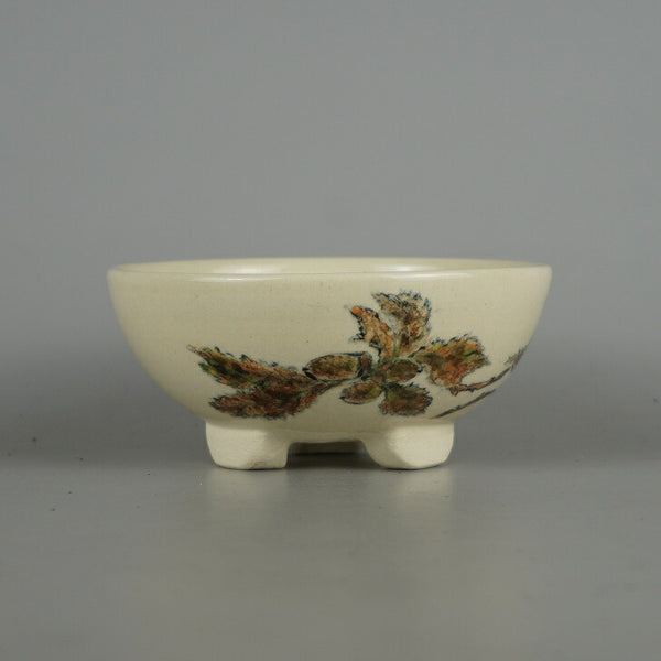 盆栽鉢 蝉山 小型 長辺 約 12.8cm 丸鉢 色絵 どんぐり 木の実 植物 観賞用  新品 g1198418975