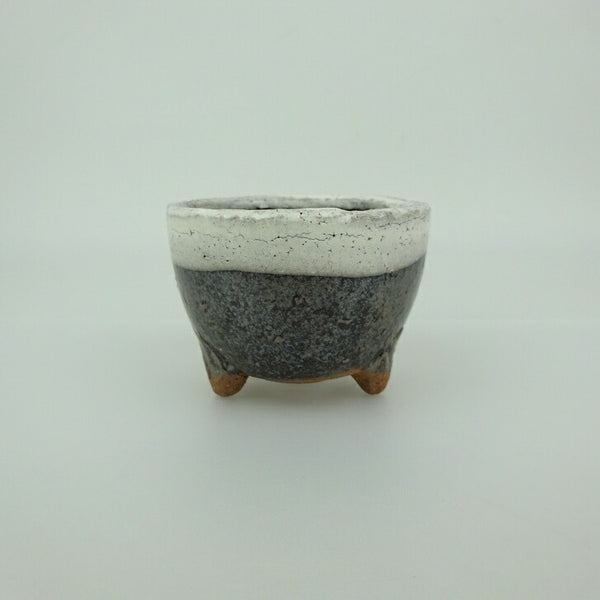 盆栽鉢 信楽焼 小鉢 長辺 約7.6cm 丸鉢 信楽 楽風 鉢 釉薬 観賞用  新品 r1198408018