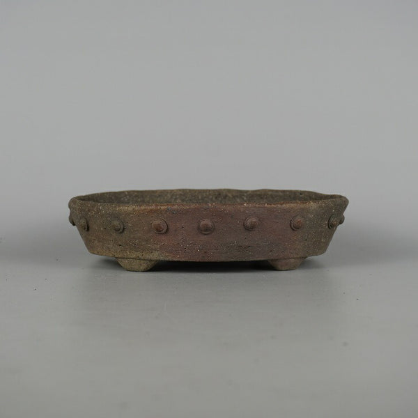 盆栽鉢 文山 越前文山 小型 長辺 約 18.8cm 鯖江園芸 楕円鉢 鋲打 泥物 s1198413182