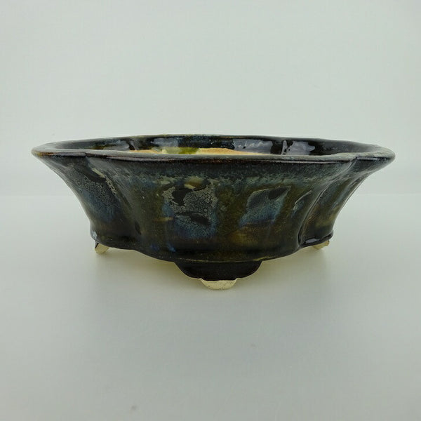 盆栽鉢 桂雲 福田桂雲 小型 長辺 約18cm 木瓜鉢 外縁 釉薬  新品 t1198414550