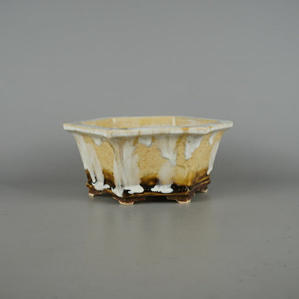 盆栽鉢 桂雲 福田桂雲 中型 長辺 約 20.5cm 六角鉢 外縁 下帯 釉薬  新品 f1198411125