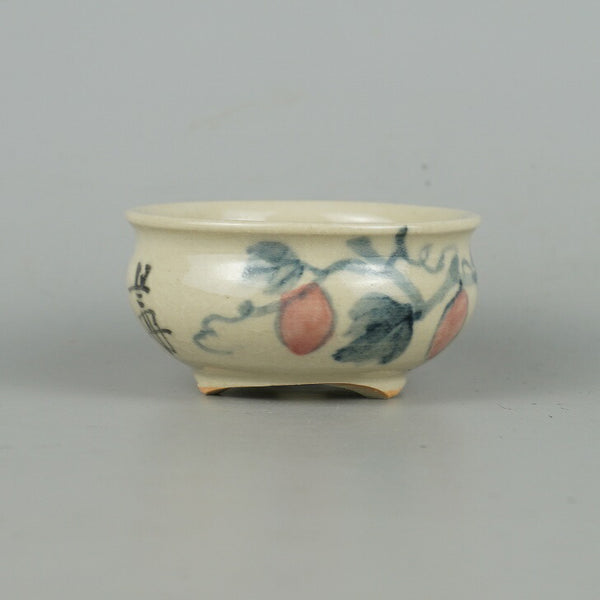 盆栽鉢 是好 矩 小鉢 長辺 7cm 丸鉢 色絵 木の実 観賞用  新品 h1198424332