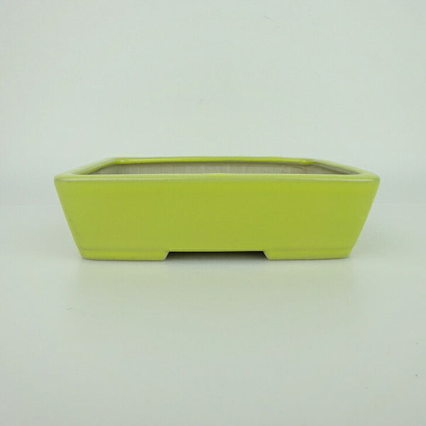 盆栽鉢 青香 小型 長辺 約14.3cm 長方鉢 釉薬 k1198408584