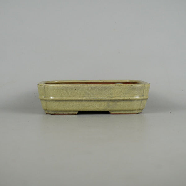 盆栽鉢 青香 小型 長辺 約14.8cm 長方鉢 隅入 中帯 釉薬 x1198411084